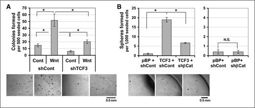 Figure 5. Role of TCF3 in Wnt-stimulated colony formation. A, Matrigel colonies formed by control or TCF3-silenced HCC1937 cells, treated with Wnt3a (Wnt) or control (Cont). Shown is the mean of 5 replicates ± SEM. B, sphere formation by control (pBP) or TCF3-overexpressing HMLER cells infected with shCont or shβ-Catenin (shβCat) vectors. n = 10. *, P < 0.01. N.S., non-significant.
