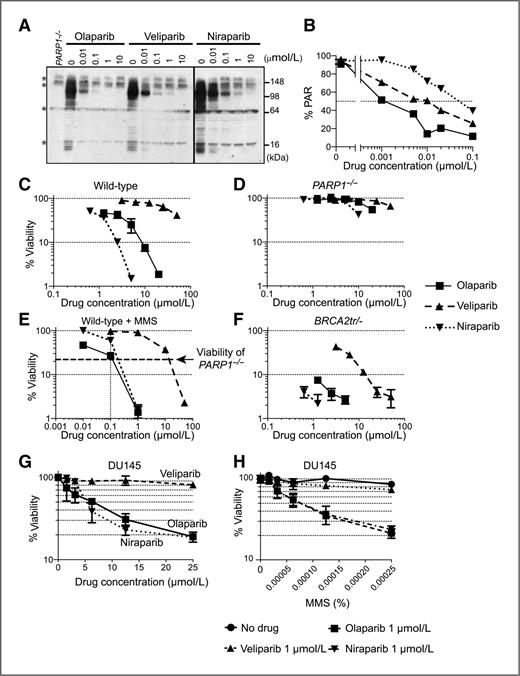 Figure 4. Three clinical PARP inhibitors differ in their potency to poison PARP1 and PARP2 irrespective of their potency to inhibit PARP catalytic activity. A, drug-induced PARylation inhibition. Western blotting of PAR levels in whole cell lysates from wild-type DT40 cells treated as indicated for 30 minutes. Blots were probed with anti-PAR antibody. Whole cell lysates from untreated PARP1−/− cells were used as a control. Asterisks indicate nonspecific bands. B, representative PAR ELISA assays in DT40 cells treated with olaparib, veliparib, or niraparib for 120 minutes. PAR level of untreated cells was set as 100%. IC50 (inhibitory concentration 50%) of olaparib, veliparib, and niraparib were 1.2 nmol/L, 10.5 nmol/L, and 50.5 nmol/L, respectively. C–F, differential cytotoxicity of the 3 PARP inhibitors. Viability was measured as in Fig. 1D. Error bars represent SD (n = 3). Survival curves of the wild-type cells (C), PARP1−/− cells (D), wild-type cells treated with a subtoxic MMS concentration (0.00025%; see Fig. 2C; E), and BRCA2-deficient DT40 cells (F). Sensitivity was determined as in Fig. 1D. Error bars represent SD (n = 3). The viability of PARP1−/− cell to 0.00025% MMS (22%) was shown with a horizontal dashed line with annotation (E). G, survival curves of DU145 treated with the indicated PARP inhibitors for 72 hours. H, survival curves of DU145 treated with MMS alone or MMS plus 1 μmol/L olaparib or veliparib or niraparib for 72 hours.