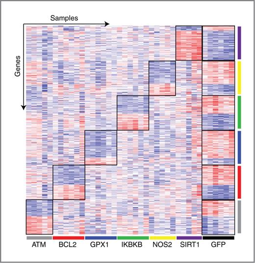 Figure 2. Pathway-specific gene expression signatures. Supervised heat map of gene expression signatures specific to each pathway perturbation (n = 100 genes/pathway). Samples are organized across the x-axis: ATM (gray), BCL2 (red), GPX1 (blue), IKBKB (green), NOS2 (yellow), SIRT1 (purple), and GFP (black). Genes are organized across the y-axis, and the sample colors also correspond to the pathway-specific gene signature. Red represents high gene expression and blue represents low gene expression.