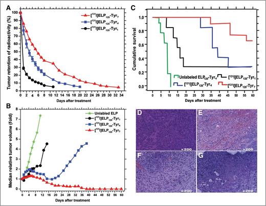 Figure 2. Tumor retention and antitumor efficacy of [131I]ELP in mice bearing FaDu tumor xenografts. Comparison of tumor retention of radioactivity (A), tumor growth posttreatment (B), and Kaplan–Meier plots (C) of survival of mice treated with 3 different [131I]ELPs containing 1, 4, or 7 C-terminal tyrosine residues. Data represent mean ± SEM (n = 7–12). D–F and G show HE stained tumor tissue sections obtained 0, 24, 48, and 72 hours, respectively, after intratumoral infusion of [131I]ELP120-Tyr7.
