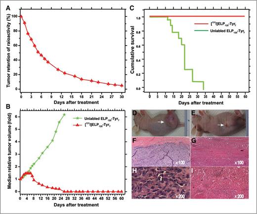 Figure 3. Tumor retention and antitumor efficacy of [131I]ELP in mice bearing PC-3 tumor xenografts. Radioactivity retention (A), antitumor efficacy (B), and survival following intratumoral infusion of [131I]ELP120-Tyr7 (C). Data represent mean ± SEM (n = 10–13). Photographs of PC-3 tumors 23 days after treatment with unlabeled ELP (D) and 60 days after treatment with [131I]ELP120-Tyr7 (E). H&E stained tumor tissue sections obtained 23 days after treatment with unlabeled ELP (F and H) or 60 days after treatment with [131I]ELP120-Tyr7 (G and I).