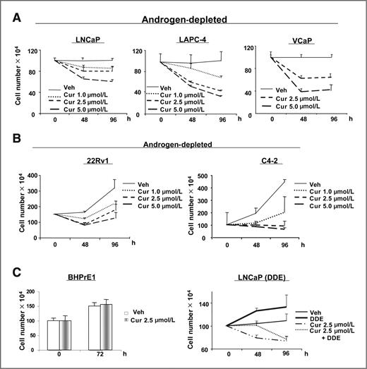 Figure 1. Curcumin cooperates with hormone ablation to suppress cell growth and survival in vitro. ADT-sensitive cells (LNCaP, LAPC-4, or VCaP; A) or CRPC cells (C4-2 and 22Rv1; B) were cultured in androgen deprivation condition for 24 hours before treatment with vehicle or increasing concentrations of curcumin (1, 2.5, and 5 μmol/L). Cells were counted using trypan blue exclusion. C, prostatic epithelial cells (BHPrE1, left) were cultured with vehicle or curcumin (2.5 μmol/L) and effect on cell number monitored. LNCaP cells (right) cultured under androgen deprivation were treated with DDE alone or in combination of curcumin and cell number determined. P < 0.05.
