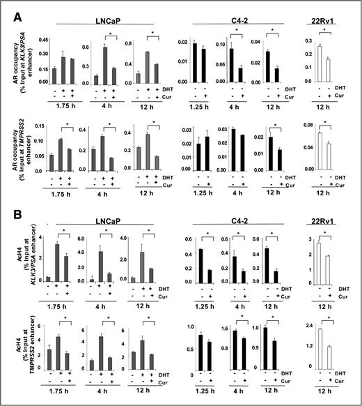 Figure 3. Curcumin suppresses histone acetylation and AR recruitment at AR-regulated loci. A, ADT-sensitive cells (LNCaP) cultured under androgen deprivation were treated with DHT (1 nmol/L) alone or in combination with curcumin (8 μmol/L) for select time points (1.75, 4, or 12 hours), whereas CRPC cells (C4-2 and 22Rv1) under androgen deprivation were treated with vehicle or curcumin (8 μmol/L) alone for selected time points (1.25, 4, and 12 hours). The cells were processed for ChIP analysis to determine AR occupancy at the enhancer region of KLK3/PSA (top) and TMPRSS2 (bottom; primer sequences, Supplementary Table S1). B, acetylated histone levels at KLK3/PSA (top) or TMPRSS2 (bottom) enhancer region were determined by ChIP analysis. *, P < 0.05.