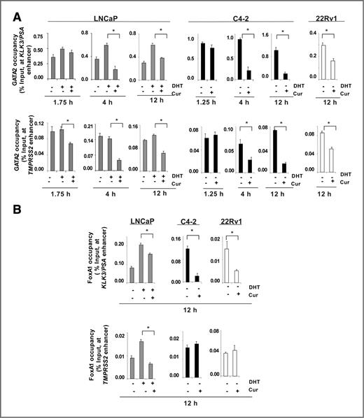 Figure 5. Curcumin suppresses occupancy of pioneering factors at AR target gene enhancers. A, ChIP analysis for pioneer factor occupancy at AR target gene enhancer region was carried out as described in Fig 3. B, similar analyses were carried out for FOXA1 (12 hours) in both ADT-sensitive and CRPC cells. *, P < 0.05.
