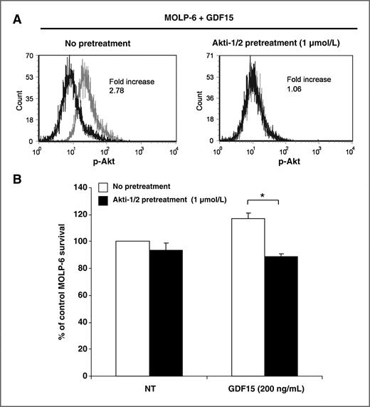 Figure 3. Effect of Akt-1/2 inhibitor (Akti-1/2) pretreatment on GDF15-induced MOLP-6 Akt phosphorylation (A) and survival (B). A, representative experiment where cells were pretreated or not with Akti-1/2 (1 μmol/L), incubated with GDF15, and stained for pT308 Akt for flow cytometry. Isotype control staining (black line) and pT308 Akt (gray line) are shown on histograms. B, cells were pretreated or not overnight with Akti-1/2 (1 μmol/L) and then treated or not with GDF15 (200 ng/mL) for 1 day. Experiments were carried out under serum-free conditions. Percentage cell survival in control versus Akti-1/2 pretreated cells was obtained by Trypan blue exclusion assay. Results are expressed according to percentage of control cell survival (without Akti-1/2 pretreatment and without GDF15). Data represent mean ± SD of 3 independent experiments carried out in duplicate. *, P < 0.05.