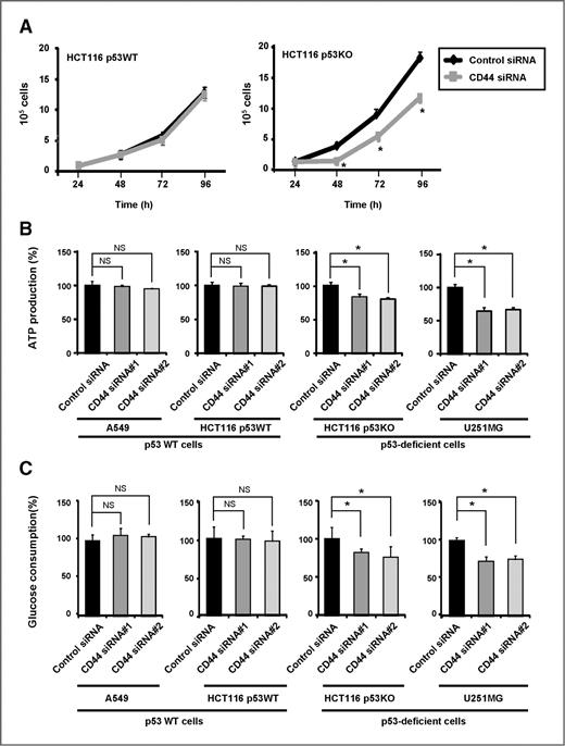 Figure 1. CD44 ablation suppresses cell proliferation and decreases ATP production in p53-deficient cancer cells. A, time course analysis of cell growth beginning after transfection with control and CD44 siRNAs for 48 hours. *, P < 0.005. B and C, ATP production and glucose consumption in cells cultured for 24 hours after transfection with indicated siRNAs for 48 hours. Data are expressed as a percentage of the value for control siRNA cells. *, P < 0.001. NS, not significant.