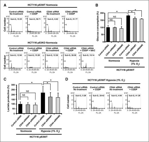 Figure 6. CD44 ablation increases sensitivity to CDDP in glycolytic cancer cells. A, flow cytometric analysis of cells that had been transfected with indicated siRNAs for 48 hours. The transfected cells were incubated for 48 hours in the absence or presence of 50 μmol/L CDDP under normoxia (21% O2). The effect of CDDP was also assessed after pretreatment of the cells with 1 mmol/L NAC for 1 hour. The percentage of sub-G1 cells was determined. B and C, glucose consumption and lactate production in cells cultured for 24 hours under normoxia and hypoxia after transfection with siRNAs for 48 hours. *, P < 0.05. D, flow cytometric analysis of cells that had been transfected with siRNAs for 48 hours under hypoxia. The transfected cells were incubated for 48 hours in the absence or presence of 50 μmol/L CDDP under hypoxia. NS, not significant.