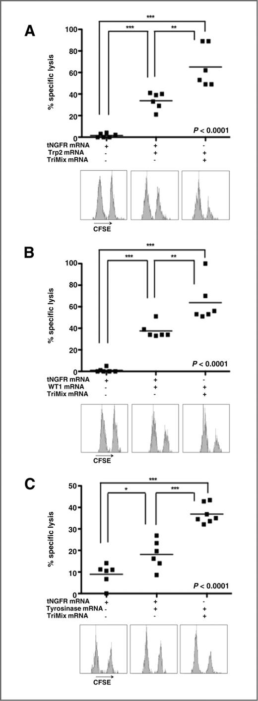 Figure 5. Inclusion of TriMix in the mRNA vaccine enhances the induction of TAA-specific CTLs. An in vivo cytotoxicity assay was conducted to evaluate the induction of CTLs in mice immunized intranodally with TAA mRNA alone or combined with TriMix. The graphs depict the specific lysis of target cells upon immunization against (A) Trp2 (n = 2), (B) WT1 (n = 3), and (C) tyrosinase (n = 2).