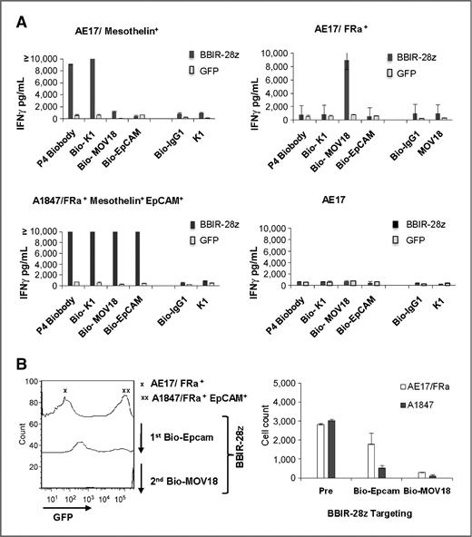 Figure 3. BBIR+ T cells exhibit effector functions against various painted cell surface tumor antigens in the presence of antigen-specific biotinylated antibodies. A, BBIR+ T cells exhibit effector functions against multiple antigen specificities. BBIR or GFP-transduced T cells were cultured overnight with an equal number of antigen-negative AE17, AE17/mesothelin+, AE17/Folate binding protein (FRa)+, or A1847 cancer cells. Cell-free supernatant from 3 independent cultures was harvested after overnight incubation and IFNγ levels were measured by ELISA. Mean IFNγ concentration ± SEM (pg/mL) is shown. B, BBIR T cells can be redirected toward different antigens sequentially. BBIR T cells were cultured with GFP-transduced EpCAM+ A1847 and AE17/FRa+ cell lines at a 1:1:1 ratio. After addition of Bio-EpCAM Ab to cultures for 10 hours, CD3-negative cells were analyzed by FACS to detect for the presence of GFP-transduced EpCAM+ A1847 cells. A second Bio-MOV18Ab (anti-FRa) was then added to culture for an additional 10 hours, and FACS was repeated to measure for remaining CD3-negative, GFP-negative AE17/FRa+ cells. Left, histograms are shown. Right, results of tumor cell count analysis of pretreated cultures (pre) and after sequential Bio-EpCAM Ab and Bio-MOV18 Ab targeting of A1847 and AE17/FRa+ cells, respectively.
