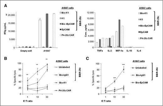 Figure 4. Activity of dcAv.BBIR-28z engineered T cells. A, dcAv.BBIR-28z+ T lymphocytes produce inflammatory cytokines in response to painted A1847 tumor cells with biotinylated antibodies: anti-mesothelin (Bio-K1) and/or anti-EpCAM (Bio-EpCAM). BBIR+ T cells produced equal levels of (right) IFNγ and (left) Th1 cytokines in response to painted A1847 cells compared with conventional anti-mesothelin P4-28z CAR+ T cells. Left, overnight culture supernatants were analyzed for human IFNγ cytokine by ELISA. Concentration of IFNγ is expressed as mean ± SEM in pg/mL from triplicate wells. Right, cytokine bead array analysis of cytokine production by dcAv.BBIR-28z+ T cells or P4-28z CAR+ T cells. Supernatants from 3 independent cultures were pooled and assessed after 16 hours. B, antigen-specific tumor killing by mesothelin or EpCAM-redirected BBIRs. Primary human T cells transduced to express P4-28z CAR or dcAv.BBIR-28z were cocultured with Cr51-labeled A1847 cells with painted mesothelin (Bio-K1) or (C) EpCAM (Bio-EpCAM) for 17 hours at the indicated effector-to-target (E:T) ratio. Percent specific target cell lysis was calculated as (experimental − spontaneous release) − (maximal − spontaneous release) × 100. Data represent the means ± SD for 3 different experiments. *, P ≤ 0.005 comparing BBIR+/Bio-K1 and BBIR+/Bio-IgG1 T cells. **, P ≤ 0.005 comparing BBIR+ and P4 CAR+ T cells and ***, P ≤ 0.005 comparing BBIR+/Bio-EpCAM and BBIR+/Bio-IgG1 T cells. The difference between the cytotoxic activity was statistically significant at given E:T ratio.