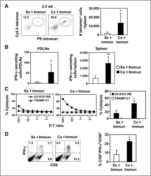 Figure 1. Enhanced antigen-specific effector responses 2.5 weeks after castration and immunization. A, splenocytes were stained with CD8, CD44, PE-tetramer, and Cy5.5-tetramer. Cells enriched with anti-PE beads were analyzed. The representative dot plot (left) shows PE- and Cy5.5-tetramer double-positive cells gated on the CD8+CD44+ population. The number of tetramer-positive cells was quantified (bar graphs; ▪, Cx + Immun; □, Sx + Immun). The experiment was repeated once. B, IFN-γ–secreting cells in response to ex vivo UV-8101-RE stimulation were identified using ELISPOT assay with PDLNs (left) and spleen cells (right) from both groups. The average of triplicate wells in 1 representative experiment is shown. C, lytic capacity of MLTC cells, 2.5 weeks after immunization, was determined in a 51Cr release assay. Targets are UV-8101-RE (♦) and TRAMP-C1 (▴). Line graphs show one representative animal from each group and bar graphs show the average of all animals in each group at an effector:target (E:T) ratio of 50:1. D, effector cytokine production was determined by intracellular cytokine staining of MLTC cells. Flow diagram (left) shows representative samples of CD8+ cells that express IFN-γ after ex vivo restimulation. The percentage of CD8+ T cells that express IFN-γ was calculated (right). Data are mean values ± SD. *, P < 0.05; **, P < 0.01 for Sx + immunization (Immun) versus Cx + immunization. One representative experiment with 3 to 5 animals per group is shown. Each experiment was repeated at least once. Cx, castration; Sx, sham treatment.