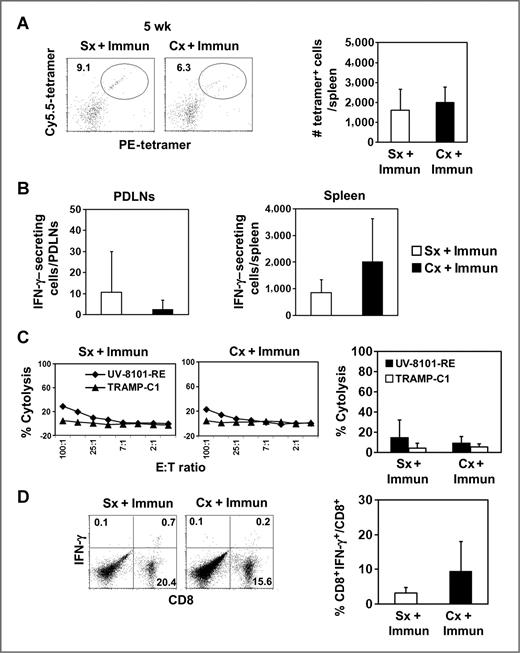 Figure 2. Enhancement of CD8+ effector function by castration was diminished 5 weeks after immunization. A, the representative dot plot (left) shows PE- and Cy5.5-tetramer double-positive cells gated on the CD8+CD44+ population as described in Fig. 1. The number of tetramer-positive cells was quantified and represents the average of 5 animals in one experiment (bar graphs; ▪, Cx + Immun; □, Sx + Immun). B, IFN-γ–secreting cells in response to ex vivo UV-8101-RE stimulation were identified using an ELISPOT assay with PDLNs (left) and spleen cells (right) from both groups. The average of triplicate wells in one representative experiment is shown. C, lytic capacity of MLTC cells cultured for 6 days was determined by 51Cr release assay (♦, UV-8101-RE; ▴, TRAMP-C1). Line graphs show one representative animal from each group and the bar graph shows the average of all animals in each group at an E:T ratio of 50:1. D, IFN-γ expression by MLTC cells was assessed by an intracellular cytokine staining assay (left). Percentages of IFN-γ–expressing cells gated on CD8+ T cells were calculated (right). Data are presented as mean values ± SD and one representative experiment of 3 independent experiments with 3 to 5 mice per group is shown. Cx, castration; Immun, immunization; Sx, sham treatment.