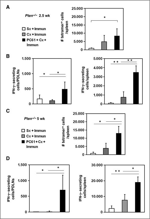 Figure 5. Effector responses to a tumor antigen were detected only after castration with concomitant Treg depletion in prostate tumor–bearing mice. A, Pten−/− mice were analyzed 2.5 weeks after immunization (Immun) and castration (Cx) or sham treatment (Sx). Splenic tetramer-positive cells were enriched by magnetic bead selection followed by flow cytometric analysis. The number of tetramer-positive cells per spleen was calculated (bar graph; □, Sx + Immun; ▪, Cx + Immun; ▪, Cx + PC61 + Immun). *, P < 0.05 for Cx + PC61 + Immun versus Sx + Immun. B, IFN-γ–secreting splenocytes or PDLN cells in response to ex vivo UV-8101-RE stimulation were quantified using an ELISPOT assay for all 3 groups. C, the number of tetramer-positive cells per spleen 5 weeks after immunization and castration or sham surgery of Pten−/− mice is shown. D, IFN-γ–secreting cells in spleen or PDLNs following ex vivo UV-8101-RE stimulation were quantified using ELISPOT assays for all 3 groups. *, P < 0.05; **, P < 0.001 for Cx + PC61 + Immun group versus Sx + Immun group or Cx + Immun group. Each group contained 3 to 5 animals, and the experiment was repeated once.