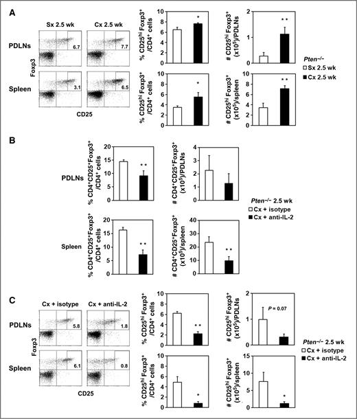 Figure 6. Treg expansion after castration in Pten−/− mice was mediated by IL-2. A, dot plots show CD25+Foxp3+ cells gated on CD4+ cells from PDLNs or spleen of one representative mouse in Sx or Cx groups for 2.5 weeks after castration. The rectangles designate the CD25hi population. The percentage and number of CD4+CD25hiFoxp3+ cells were calculated (bar graphs; ▪, Cx 2.5 weeks; □, Sx 2.5 weeks). *, P < 0.05; **, P < 0.01 for Cx 2.5 weeks compared with Sx 2.5-week group. B, Pten−/− mice were injected with anti-IL-2 or isotype control monoclonal antibody 2 days before castration. The proportion and number of CD4+CD25+Foxp3+ were quantified in PDLNs and spleens 2.5 weeks after treatment (bar graphs; ▪, Cx + anti-IL-2; □, Cx + isotype). **, P < 0.01 for Cx + anti-IL-2 compared with Cx + isotype group. Each group contained 3 mice, and the experiment was repeated once. C, representative dot plots of CD25+Foxp3+ staining gated on CD4+ cells from PDLNs or spleens are shown for one mouse in the Cx + anti-IL-2 or Cx + isotype group. The percentage and number of CD4+CD25hiFoxp3+ cells were quantified (bar graphs; ▪, Cx + anti-IL-2; □, Cx + isotype). Mice were from the same experiment as in B. *, P < 0.05; **, P < 0.001 for Cx + anti-IL-2 compared with Cx + isotype group. Cx, castration; Sx, sham treatment.