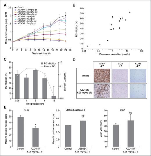 Figure 5. AZD4547 exposure correlates with in vivo antitumor activity, pharmacodynamic modulation of phospho-FGFR, and reduced tumor cell proliferation. A, AZD4547 was administered by oral gavage once (qd) or twice (bid) daily to SCID mice bearing established s.c. KMS11 human tumor xenografts at the doses indicated. Tumor volumes are plotted against time. B, pharmacokinetic (PK)/pharmacodynamic relationship in KMS11 xenograft. AZD4547 was dosed orally at a range of concentrations, and tumors and blood collected at various time points for ELISA analysis of phospho-FGFR3 and AZD4547 drug levels, respectively. Total plasma drug levels and the percentage inhibition of phospho-FGFR3 (PD inhibition) compared with control are plotted. C, AZD4547 was dosed orally at 6.25 mg/kg (single dose) and plasma and tumors collected over a 16-hour time course. D, Ki-67, cleaved caspase-3 (CC3), and CD31 immunohistochemical staining of KMS11 tumor sections removed after 7 days twice daily dosing of 6.25 mg/kg AZD4547 (4 hours after final dose). E, image analysis data for Ki-67, CC3, and CD31 immunostained tumors showing mean values for each group (n = 4 animals per group). Ki-67 shows statistical significance with one-tailed t test. *, P = 0.012. NS, not significant.