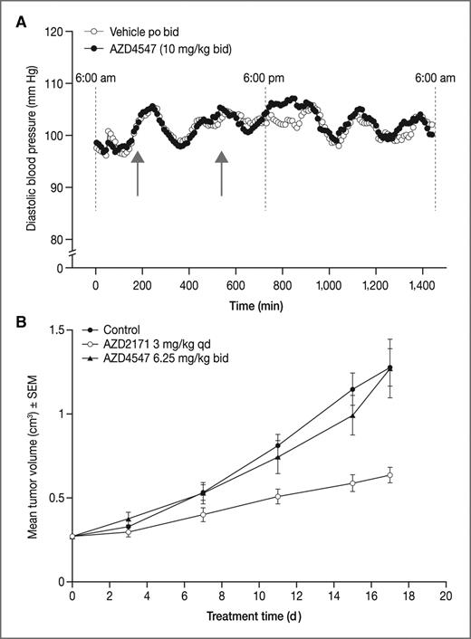 Figure 6. AZD4547 antitumor efficacy is not attributable to inhibition of KDR. A, mean diastolic blood pressure measurements of a group of unrestrained conscious telemetered rats (n = 3) given 2 oral doses at 180 and 540 minutes (arrows): on day 1, vehicle control (o) and the following day (day 2) AZD4547 at 10 mg/kg (•). bid, twice daily; po, orally. B, nude mice bearing established Calu-6 human tumor xenografts were treated orally, twice daily with AZD4547 (6.25 mg/kg) or cediranib (3 mg/kg) once daily.