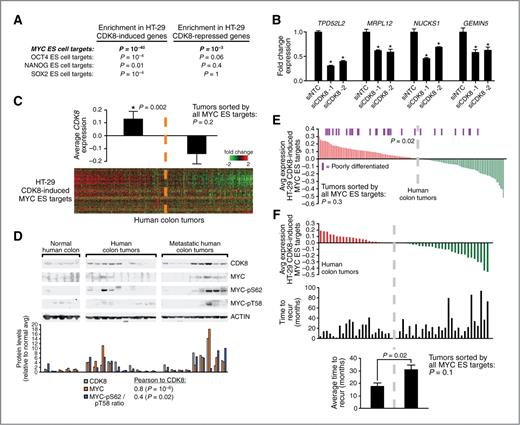 Figure 5. Coordinated expression of CDK8-regulated MYC targets in primary human colon cancer. A, gene set enrichments in HT-29 CDK8-induced and CDK8-repressed genes. B, qRT-PCR of 4 MYC-driven embryonic stem cell target genes in HT-29 cells. Mean ± SD is shown. *, P = 0.01, Student t test. C, the log2 mean centered expression of CDK8-induced MYC embryonic stem cell target genes (from Fig. 5A) is shown for 227 primary and metastatic human colon tumors (from Gene Logic). The tumors were sorted on the basis of high to low average expression of the CDK8-induced MYC embryonic stem cell targets and split in 2 at the mean expression level. Bar graph depicts average ± SEM log2 expression of CDK8 in the 2 groups (P = 0.002, Student t test). D, Western blot analysis of normal colon, primary colon tumors, and metastatic colon tumors. CDK8 and MYC levels were quantified relative to ACTIN, then normalized to their average in normal colon. Phospho-specific MYC (S62 and T58) levels were quantified relative to MYC, then the ratio was normalized to their average ratio in normal colon. P values for Pearson correlations are one-tailed t tests. E, the average log2 expression of the CDK8-induced MYC embryonic stem cell targets is sorted high to low for 213 primary human colon tumors with known tumor differentiation status (44). Purple hash marks indicate poorly differentiated tumors; the remaining tumors are either well or moderately differentiated. P values were calculated with a Fisher exact test using a 2 × 2 contingency table. F, the average log2 expression of the CDK8-induced MYC embryonic stem cell targets for 50 primary human colon tumors that underwent recurrence (45); time to recurrence is indicated below each tumor. The average time to recur ± SEM for each group is shown (P = 0.02, Student t test). ES, embryonic stem.