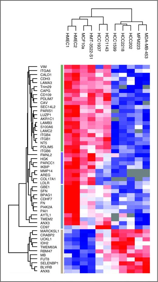 Figure 3. Stage-specific proteomic signature. A 52-protein signature was extracted using ANOVA test (FDR = 0.05, S0 = 1). Hierarchical clustering divided the signature to 4 clusters as indicated by the colored bars.