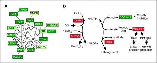 Figure 7. Network changes in the breast cancer signature. A, cell adhesion network from the protein signature. The protein network was built using the STRING database. All proteins were downregulated, the majority in stage III (dark green), MMP14 and COL17A1 in stage II, and FN1, SERPINE1, and DST in the premalignant stage (light green). B, suggested involvement of the signature proteins in control of NADPH metabolism and the oxidative state of the cells. Upregulated proteins are marked in red and downregulated protein in green. GSH, glutathione; GSSG, oxidized glutathione; RAR, retinoic acid receptor.