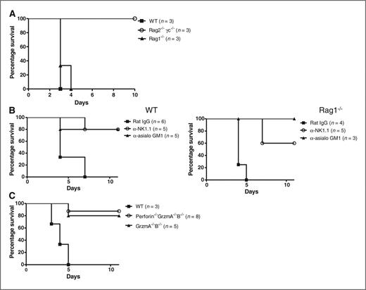 Figure 2. NK cells and their cytolytic machinery are required for pneumonitis lethality. A, WT and gene-modified mice were given pSushi-IL-15-Apo at 10 μg per dose on day 0. Survival was daily monitored and shown in a Kaplan–Meier graph. B, similar experiments in WT and Rag1−/− mice but in the indicated groups, NK and NKT cells were codepleted with anti-NK1.1 mAb or NK cells were eliminated with anti-asialo GM1 antiserum given on days −4, −3, 0, and +2. Depletion efficacy was confirmed in peripheral blood on day 0. C, similar experiments as in A and B in mice genetically deficient of granzymes A and B or perforin and granzymes A and B as indicated. Experiments are representative of at least 2 repetitions.