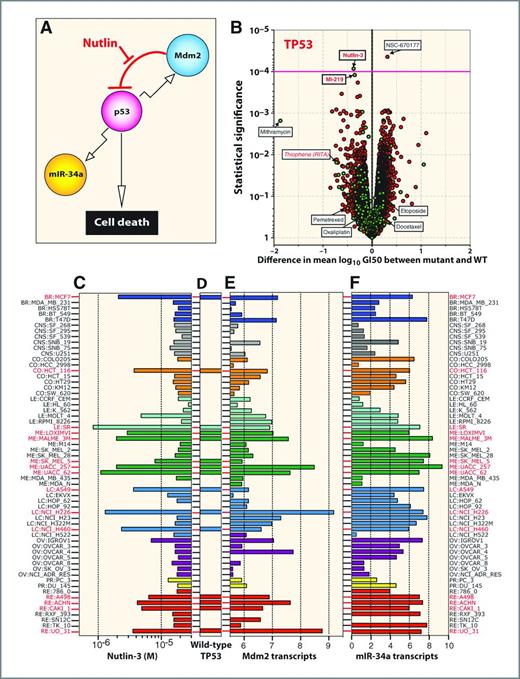 Figure 4. Correlation of TP53 wild-type cells with nutlin-3 and other p53 pathway modulators. A, schematic representation of the p53-MDM2 feedback loop with p53 acting as a positive transcription factor for MDM2 and miRNA-34a whereas nutlin-3 acts as an MDM2 antagonist (48), blocking MDM2-mediated p53 degradation and killing of wild-type p53 cell lines. B, the volcano plots show the difference in mean log GI50 between the cell lines containing a type II variant in TP53 versus those cell lines not containing a variant along the x-axis and the −log10P value on the y-axis. Each red point represents one of the 15,989 compounds tested from the NCI screening data plus 310 approved and investigational drugs (green points). A magenta guideline is given at significant P-value 10−4. The NSC numbers or names for the statistically significant and for comparison some nonsignificant compounds are annotated on the plot. TP53-reactivating compounds from literature and in red. C, antiproliferative activity of nutlin-3 across the NCI-60 cell lines, where the bar graph is color coded by tissues of origins. D, the TP53 wild-type cells are marked with horizontal bars, red tick marks, and red lettering. E, MDM2 expression is highest in the TP53 wild-type cells and those targeted by nutlin-3 (note mirror image profiles). F, the expression profile of miRNA 34a, an established p53 target. Abbreviations: BR, breast; CNS, central nervous system; CO, colorectal; LE, leukemia; ME, melanoma; LC, lung cancer; OV, ovarian; PR, prostate; and RE, renal. See also Supplementary Fig. S6 for additional correlations.