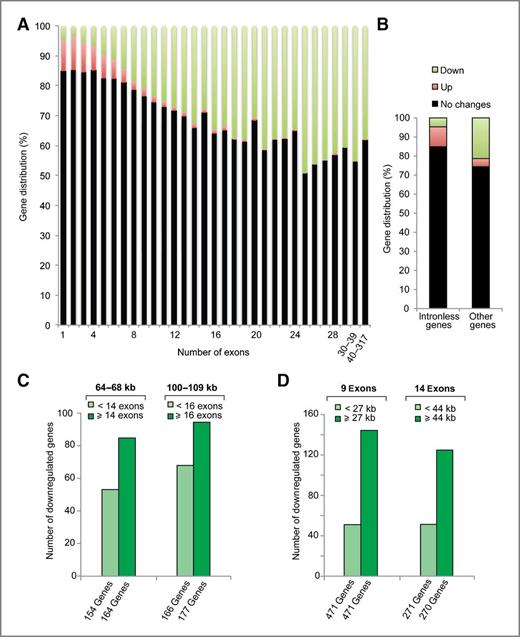 Figure 5. Preferential downregulation of genes with numerous exon–intron junctions. A, The x-axis corresponds to the number of exons. The y-axis corresponds to the proportion of downregulated genes (green) or upregulated genes (red) and unchanged genes (black) among the genes with a determined number of exons. B, intronless genes have a higher probability to be upregulated than downregulated. Proportion of downregulated genes, upregulated genes, and unchanged genes in intronless genes or in intron-containing genes are represented in green, red, and black, respectively. C, same length genes have a higher probability to be downregulated when they have large number of exons. The number of downregulated genes for 2 groups of same size genes that differ only by the number of exons (a group with lower number of exons, a second group with a larger number of exons) is plotted in green. D, same exon number genes have a higher probability to be downregulated if they are long. The number of downregulated genes for 2 groups of genes with the same exon number, but differing by gene length (a group with short genes, a second group with long genes) is plotted in green.