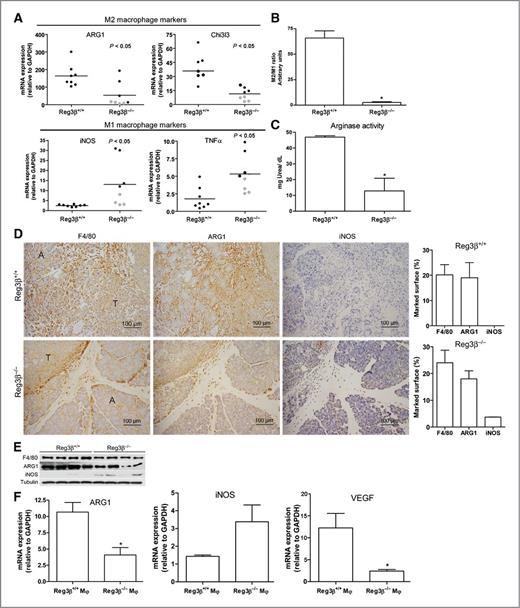 Reg3β Deficiency Impairs Pancreatic Tumor Growth by Skewing Macrophage ...