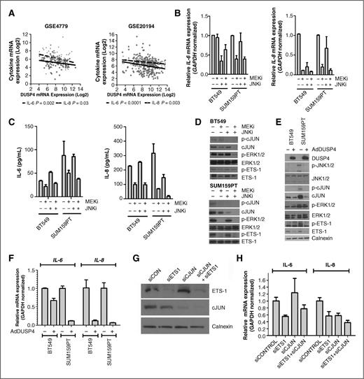 Activation of MAPK Pathways due to DUSP4 Loss Promotes Cancer Stem Cell ...