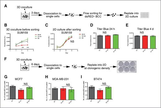 Figure 3. Dormant breast cancer cells were capable of proliferating when removed from the inhibitory niche. A, schematic representation of flow sorting for dsRED+ BCCs and replating into standard 2D conditions. 3D monoculture of BCCs (3D) was used as control. B, fluorescence monitored before flow sorting (n = 2; 40 replicate wells per condition). Error bars, SEM; **, P < 0.01; 1-way ANOVA. C, fluorescence monitored after sorting (n = 2; 10 replicate wells per condition). Error bars, SEM; NS, not significant; 1-way ANOVA. D and E, Titer Blue proliferation assay at 24 hours and 4 days after plating into standard tissue culture (n = 2; 10 replicate wells per condition). Error bars, SEM; NS, not significant; 1-way ANOVA. F, schematic representation of colony formation assay. G–I, quantification of colony formation (n = 4; 6 wells plated per experiment). Error bars, SEM. NS, not significant Mann–Whitney test, inhibitory niche (IN) versus supportive niche (SN).
