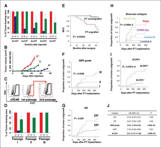 Figure 2. ALDH1-CSCs drive tumorigenicity in PDXs and predict primary tumor engraftment. A–D, the outgrowth potential of sorted populations (ALDEFLUOR-positive, A+; ALDEFLUOR-negative, A−; unselected, U) from three independent PDXs (CRCM226 x, CRCM168 x, and CRCM174 x) was evaluated, revealing a limited potential of the ALDEFLUOR-negative population, whereas ALDEFLUOR-positive cells generated tumors in all fat pads injected even with only 300 cells (A). An example of outgrowth kinetic is represented in B for CRCM226 x and an injection of 300 sorted cells. Outgrowth kinetics for all PDX models and all limited dilutions are represented in Supplementary Fig. S5. For each PDX model tested, the ALDEFLUOR-positive population recreated the native cellular heterogeneity and gave rise to ALDEFLUOR-positive and -negative cells, as shown in C for CRCM168 x (similar results were observed for CRCM226 x and CRCM174 x). The outgrowth potential of the ALDEFLUOR-positive population was maintained within three serial passages, whereas it was lost at passage 2 for the ALDEFLUOR-negative population (D). Data represent mean ± SD. E, successful engraftment of primary tumor specimens predicts metastasis formation in patients (log-rank test, P = 0.00352). A Kaplan–Meier MFS analysis shows patient's outcome in engrafter and nonengrafter groups. F–I, factors predicting successful engraftment in mice. Kaplan–Meier analysis shows proportion of tumor outgrowth for different groups of primary tumor injected and stratified according to SBR grade, ER protein expression, molecular subtypes, or the presence of ALDH1-positive cells. Each of these factors identifies different groups of primary tumor with opposite engraftment rate. J, multivariate analysis with Cox proportional model identifies only SBR grade and ALDH1 expression as independent factors associated with successful engraftment.