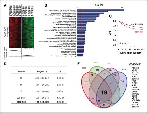 Figure 3. Identification of a “common” stem cell core transcriptional program (CE-4SC) associated with clinical outcome. A, supervised analysis identified a breast BCSC-GES. Gene expression profiles of ALDEFLUOR-positive and -negative populations, isolated from 5 PDXs, were compared: 837 genes were identified as differentially expressed between CSCs and non-CSCs and are represented on hierarchical clustering. B, to determine the pathways associated with the BCSC-GES, we ran Ingenuity Pathway Analysis using Ingenuity software. Bar plot represents enrichment for each of the network components identified, where the strength of the association is represented by the −log (P). C, Kaplan–Meier MFS curves according to BCSC-GES status. Tumors that express the BCSC-GES (BCSC-like) are associated with a reduced MFS (P = 5.10 − 4). D, multivariate analysis with Cox proportional model identified BCSC-GES as independent factor associated with MFS. E, identification of a “universal” stem cell core transcriptional program corresponding to the common 19 genes of 4 stemness GES. The overlap of the 4 GES is represented with a Venn diagram. The 19 common genes (named CE-4SC) are listed.