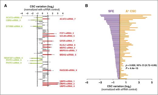Figure 4. Functional validation of the CE-4SC using siRNAs screen in SUM159 BCL. A, screening of a library of 57 siRNAs targeting the 19 identified genes using the variation of the ALDEFLUOR-positive population as read out. Each siRNA construct that induced a variation in the number of ALDEFLUOR-positive cells over a threshold of 2-fold the CSC proportion detected in the control was considered as a hit. Eighteen hits were identified, corresponding to 14 unique genes, with green siRNA constructs that reduced significantly the CSC population and red siRNA constructs that increased significantly the CSC population. B, comparison of CSC variation after gene knockdown by ALDEFLUOR phenotyping (right) and tumor SFE (left) using the 57 siRNAs. Results for each siRNA (from top to bottom) are represented as opposite bars. Correlations are measured using Spearman rank correlation (ρ). Data represent mean ± SD.
