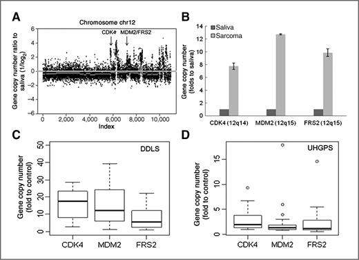 Figure 4. Amplification of FRS2, CDK4, and MDM2 genes in a case of high-grade liposarcoma. A, whole-exome sequencing was conducted on DNA sample from an FFPE liposarcoma tissue and saliva to determine copy number variants. The copy number variant analysis showed a large and discontinuous amplification on chromosome 12, locations of FRS2, CDK4, and MDM2 genes are shown by arrows. B, q-PCR analysis was conducted to quantitatively analyze the copy number of CDK4, MDM2, and FRS2 genes within the 12q13-15 amplicon; the result showed that all 3 genes were about 10-fold of that of germ line control (saliva). C and D, distribution and amplification of CDK4, MDM2, and FRS2 genes determined by q-PCR analysis in clinically diagnosed DDLS (n = 15) and UHGPS (n = 32) tissues.