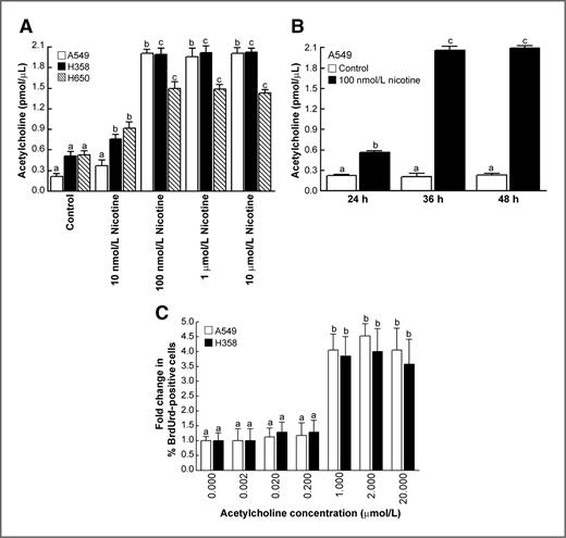Figure 2. Nicotine induces the production of the growth factor ACh in human BACs. A, nicotine caused a concentration-dependent increase in ACh production in A549, H358, and H650 human BAC cell lines. B, time kinetics of nicotine-induced ACh production in A549 human BAC cells. The maximal ACh production was observed at 100 nmol/L nicotine at 36 hours. C, ACh stimulated proliferation of A549 and H358 cells. BrdUrd assays show that 2 μmol/L of ACh (which is approximately the amount of ACh produced in nicotine-treated BAC cells) caused a 4- to 4.5-fold increase in proliferation of A549 and H358 human BACs. Each sample was analyzed in triplicate. Data represent mean ± SEM from 2 independent experiments. Results indicated by a different letter are significantly different (P < 0.05).
