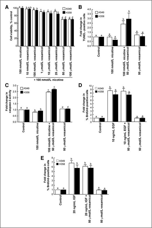 Figure 4. Vesamicol caused apoptosis in human BAC cells. A, MTT assays showed that vesamicol decreases the viability of A549 and H358 cells in a concentration-dependent manner. Each sample was analyzed in triplicate. B, the treatment of human BAC cell lines with 50 μmol/L vesamicol caused 2.5- to 3-fold apoptosis in nicotine-treated A549 and H358 cells. C, the apoptotic activity of vesamicol was confirmed with caspase-3 activity assay, and similar results were obtained. D, vesamicol had no effect on EGF-induced proliferation of A549 and H358 cells. BrdUrd assays show that the treatment of A549 and H358 human BAC cells with 10 ng/mL EGF causes robust proliferation. The addition of 50 μmol/L vesamicol along with EGF produced no effect on EGF-induced proliferation of human BACs. E, BrdUrd assays show that vesamicol does not suppress IGF-II–induced proliferation of human BAC cell lines. Each sample was analyzed in duplicate. Data represent mean ± SEM from 2 independent experiments. Results indicated by a different letter are significantly different (P < 0.05).