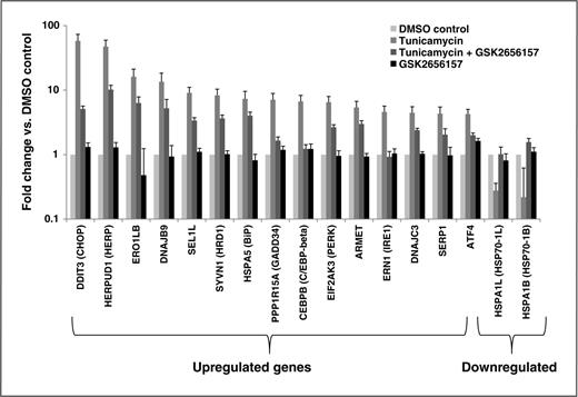 Figure 2. PERK inhibitor attenuates tunicamycin-induced UPR gene transcription. BxPC3 cells were treated with DMSO or 1 μmol/L GSK2656157 with and without tunicamycin and RNA expression of UPR-related genes was analyzed as described in Materials and Methods. Data represent mean fold change in RNA expression of genes significantly modulated by tunicamycin. Bars represent 95% confidence interval.