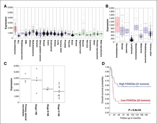 FOXO3a Is a Major Target of Inactivation by PI3K/AKT Signaling in ...