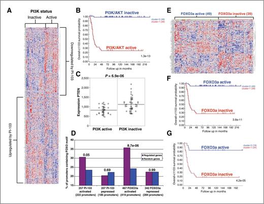 FOXO3a Is a Major Target of Inactivation by PI3K/AKT Signaling in ...