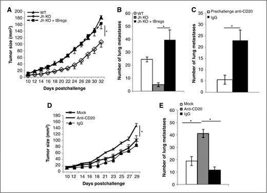 Figure 1. Depletion of CD20+ B cells promotes metastasis. 4T1.2 cells (5 × 104) were subcutaneously injected in the fourth mammary gland of Jh knockout (KO; A and B) and BALB/c (A–E) mice to assess tumor progression (A and D) and number of metastatic foci (at day 32 postchallenge in B, C, and E). To evaluate the role of tBregs (A and B) or anti-CD20 antibody-mediated B-cell depletion (C–E), 4T1.2 tumor-bearing Jh knockout mice were adoptively transferred with tBregs (A and B) or BALB/c mice were intraperitoneally injected with 250 μg/mouse anti-CD20 antibody, or control isotype-matched antibody (IgG), or PBS (mock) at 5, 10, and 15 days post tumor challenge (D and E) or at −10, −6, and −2 before tumor challenge (C). Y-axis shows tumor size (A and D) or number of metastatic foci (B, C, and E) ± SEM of 4 to 8 mice per group experiments reproduced at least 3 times. *, P < 0.05 of indicated differences between groups is considered significant.