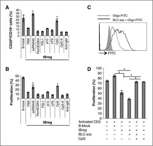 Figure 4. CXCR5-targeted delivery of CpG-ODN blocks tBregs and activates B cells eliciting cytolytic CD8+ T cells. A and B, ex vivo generation of murine tBregs was done in the absence or presence of various TLR ligands (5 μg/mL of ssRNA40; 10 μg/mL of Pam3CSK4 or FSL-1; 5 μg/mL of LPS; 1 μg/mL ODN1826 PS (CpG) and control CpG K) or 10 μg/mL anti-IgM. After 48 hours, cells were stained for CD20 expression (A) and evaluated for the ability to suppress proliferation of CD3+ T cells stimulated with anti-CD3 antibody (B). FITC-labeled CpG is better uptaken by tBregs when coupled with BLC-arp (C, continuous line), as compared with free CpG (C, broken line). Shaded area is for untreated control cells (C). BLC-arp/CpG (3 μg/mL ODN1826 PS) blocks activity of murine tBregs in vitro, at the same extent as free CpG, as shown by the inability to inhibit proliferation of CFSE-labeled CD3+ T cells (D). Controls were B cells treated with BAFF (B-mock) and untreated tBregs. *, P < 0.05.