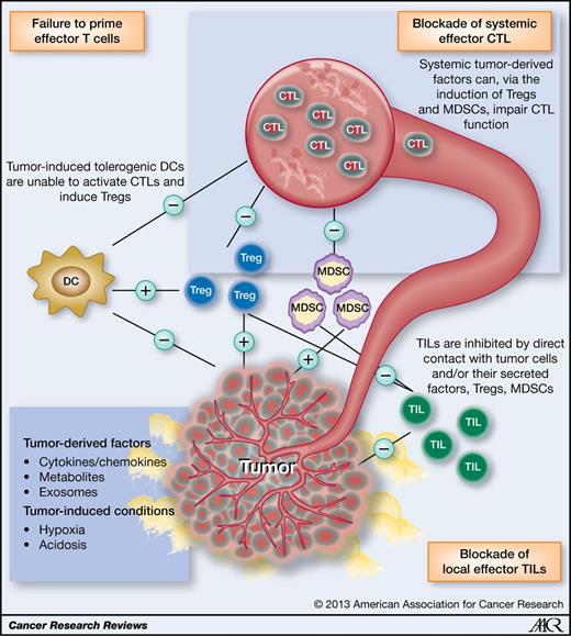 Figure 1. Immune evasion of the tumor by the impairment of effector T cells. The expansion of effector T cells may be prevented by downregulation of DC function. T cells are forced in an anergic tolerogenic or exhausted stage by tumor-derived factors, immunosuppressive cells (e.g., Tregs, MDSC), and direct contact with tumor cells (e.g., death receptor ligand expression, galactins). TIL, tumor-infiltrating lymphocyte.