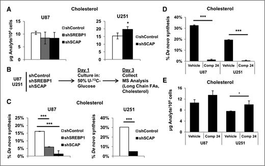 Figure 3. The SCAP/SREBP signaling axis is not required to maintain cholesterol homeostasis in glioma cells. A, GC-MS determination of total cellular cholesterol content of U87 or U251 glioma cells stably expressing shSREBP1, shSREBP2, or shSCAP as indicated cultured in complete media and 1% serum for 48 hours. B, experimental schematic for determination of de novo lipid biosynthesis using 50% mixture of U-13C-glucose. C, percentage of cellular cholesterol derived from de novo synthesis in U87 or U251 cells stably expressing shSREBP1 or shSCAP cells as indicated and cultured in a 50% mixture of U-13C-glucose and 1% serum for 48 hours. D, percentage of cellular cholesterol derived from de novo synthesis in U87 and U251 glioma cells cultured in complete media and 1% serum for 48 hours. Cultures were treated with SREBP inhibitor compound 24 (25 μmol/L) or vehicle. E, total cellular cholesterol content of U87 and U251 cells treated with compound 24 (25 μmol/L) as described earlier for 48 hours. *, P < 0.05; ***, P < 0.001.