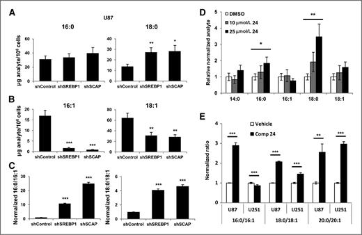 Figure 4. Loss of SREBP results in an increase total saturated long-chain fatty acids. A and B, analysis of total saturated (16:0 and 18:0) and monounsaturated (16:1 and 18:1) long-chain fatty acids from U87 cells stably expressing shSREBP1 or shSCAP. Cells were cultured in complete media and 1% serum for 48 hours. C, determination of the 16:0 to 16:1 and 18:0 to 18:1 ratios in shControl, shSREBP1, or shSCAP cells. D, determination of indicated fatty acids from U87 cells cultured in complete media and 1% serum for 48 hours. In addition, cultures were treated with vehicle or compound 24 (10 or 25 μmol/L) as indicated. E, ratio of 16:0 to 16:1, 18:0 to 18:1 and 20:0 to 20:1 from U87 and U251 cells treated with compound 24 (25 μmol/L) for 48 hours. *, P < 0.05; **, P < 0.01; ***, P < 0.001.
