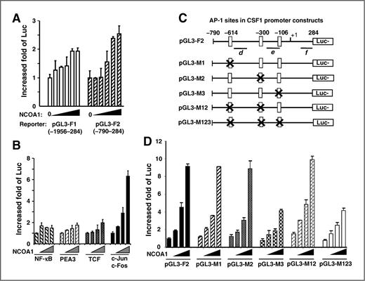 Figure 5. NCOA1 coactivates AP-1 to promote the transcriptional activity of the CSF1 promoter. A, HeLa cells in 24-well plates were transfected with pGL3-F1 or pGL3-F2 reporters (0.2 μg/well) and pCR3.1-NCOA1 plasmid (0, 0.15, 0.3, 0.6, 0.9, and 1.2 μg/well). B, HeLa cells were transfected with the pGL3-F2 reporter (0.2 μg/well), one of the indicated TF expression plasmids (0.05 μg/well), and NCOA1 expression plasmid (0, 0.15, 0.3, and 0.6 μg/well). C, the NCOA1-associated regions proximate to the CSF1 promoter contain three AP-1 sites. The specific sites are individually or combinatorially deleted in different reporters as indicated. Luc, luciferase. D, HeLa cells were transfected with an indicated pGL3 reporter (0.2 μg/well), c-Jun/c-Fos expression plasmids (0.1 μg/well each), and NCOA1 expression plasmid (0, 0.015, 0.3, and 0.6 μg/well). In all transfection assays, luciferase activity was assayed 48 hours posttransfection and normalized to total cellular protein.