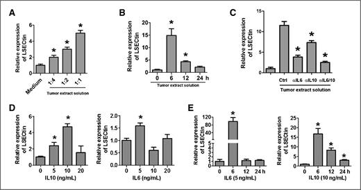Figure 2. Intratumoral IL6 and IL10 upregulate LSECtin expression on B16 cells. A, intratumoral cytokines extracted from fresh melanomas induced LSECtin expression on B16 cells. The number indicates the ratio of the tumor extract solution to the total culture medium. *, P < 0.05. B, the regulation of LSECtin expression on B16 cells in response to stimulation by tumor extract solution for indicated times. *, P < 0.05. C, intratumoral IL6 and IL10 stimulated LSECtin expression on B16 cells. B16 cells were cultured with tumor extract solution in the presence or absence of anti-mouse IL6 and/or anti-mouse IL10. *, P < 0.05. D and E, the regulation of LSECtin expression in response to stimulation by serial concentrations of recombinant cytokines for different times was determined using RT-PCR. B16 cells were cultured for 24 hours at the indicated cytokine concentrations (D) or for indicated times with a certain concentration of cytokine (E). *, P < 0.05; error bars, SEM.