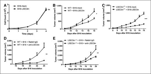 Figure 3. LSECtin promotes B16 melanoma growth in vivo. A, the in vitro growth of B16-LSECtin and B16-mock transfectants did not significantly differ. WT C57BL/6 mice (B) or LSECtin KO mice (C) were inoculated with 2 × 105B16-LSECtin and B16-mock cells. *, P < 0.05; ***, P < 0.001. Data represent the mean ± SEM of three different experiments. WT C57BL/6 mice (D) or LSECtin KO mice (E) were inoculated with 5 × 104 B16 cells on day 0 and treated on day 3, 6, and 9 with 200 μg/mL of anti-LSECtin or control antibody i.p. **, P < 0.01. Data represent the mean ± SEM of three different experiments.