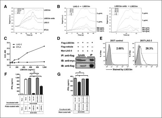 Figure 7. LSECtin interacts with LAG-3 to inhibit IFNγ secretion from effector T cells. A, an SPR analysis of the binding of 500 ng/mL injected LSECtin to 500 ng/mL immobilized LAG-3, BTLA, recombinant LSECtin, and LSECtin mAb on a sensor chip. B, the specificity and affinity were determined using SPR analysis. Various concentrations of LAG-3 or LSECtin mAb were flowed over 500 ng/mL of immobilized LSECtin on a sensor chip. The Kd values for LAG-3/LSECtin and LSECtin mAb/LSECtin were 5.65 and 2.46 μmol/L, respectively. SPR data are presented as signals (a.u.) over time (seconds). Data are representative of three independent experiments. C, ELISA plates were coated with 1 μg/mL of LAG-3 or BTLA and then incubated with LSECtin at various concentrations. D, confirmation of the LAG-3/LSECtin interaction via coimmunoprecipitation (IP) assays. IB, immunoblotting. E, HEK293T cells that had been transfected with LAG-3 or control plasmid were stained with an LSECtin (solid line) or control IgG (shaded). F, plates were coated with 5 μg/mL of anti-CD3 and 10 μg/mL of LSECtin or control IgG. Sorted T cells from WT C57BL/6 mice were cultured with 2 μg/mL of soluble anti-CD28 and 50 μg/mL of anti-LAG-3 (C9B7W) or isotype control. ***, P < 0.001. Data are representative of three independent experiments. G, plates were coated with 2 μg/mL of anti-CD3. B16-specific T cells, obtained from immunized mice as described, were cocultured with irradiated B16-LSECtin (black) and B16-mock (gray) cells in the presence of 50 μg/mL of anti-LAG-3 (C9B7W) or isotype control. *, P < 0.05. Data are representative of two independent experiments.