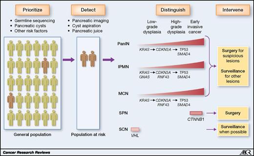 Figure 4. This figure highlights the series of steps required to allow for the early detection of curable pancreatic neoplasia. Adapted from an original illustration by Corinne Sandone, Johns Hopkins University.