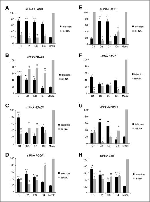 Figure 2. Correlation between silencing efficiency and L. monocytogenes infection. HeLa229 cells were transfected with four different duplexes (D1–D4) targeting the corresponding genes. A–H (infection), L. monocytogenes infection was quantified by computer-assisted image analysis. A–H (mRNA level), silencing efficiency was determined by qPCR. The graphs represent the average of three independent experiments. The significance of the differences was confirmed by Student t test for infection quantification (**, P < 0.0025) and silencing efficiency (††, P < 0.0025).