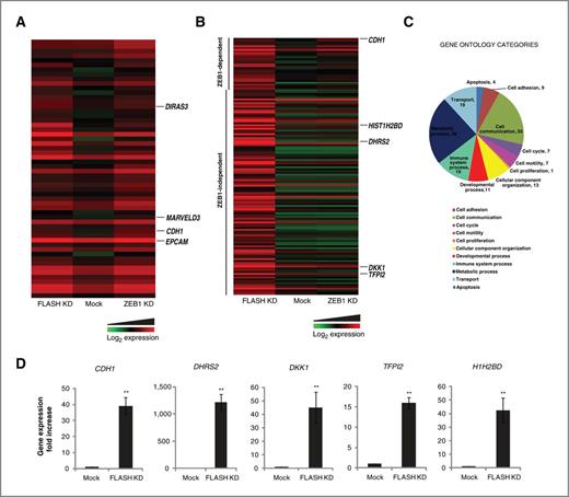 Figure 6. Gene expression profile in ZEB1- and FLASH-depleted cells. A, heat map representation of gene expression levels showing at least a 2-fold increase in ZEB1-depleted cells and the corresponding expression in FLASH-depleted cells. Representative genes with a role in tumor suppression are indicated. B, heat map representation of gene expression levels showing at least a 4-fold increase in FLASH-depleted cells and the corresponding expression in ZEB1-depleted cells. C, the enriched categories for FLASH-regulated genes were determined using the gene ontology software from www.pantherdb.org. D, qPCR validation of the microarray results for CDH1, DHRS2, DKK1, TFPI2, and HIST1H2BD. The significance of the differences was confirmed by Student t test (**, P < 0.0025).